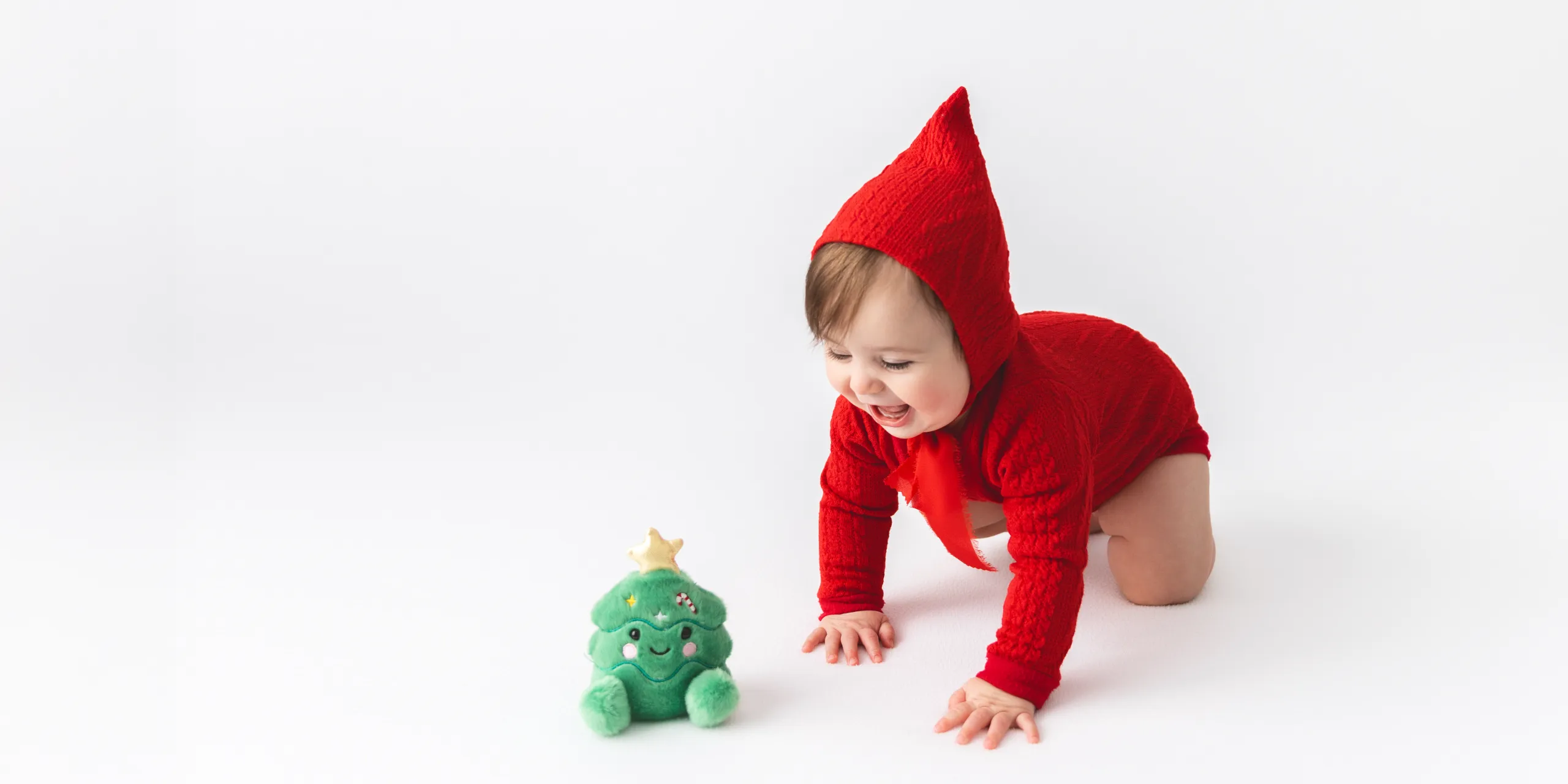633a6255fhero image